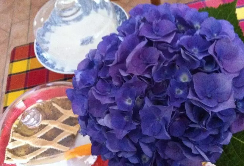 Majatalo Il Passatempo Di Enrica