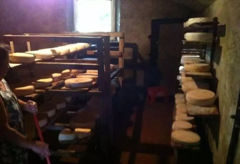 Majatalo Il Passatempo Di Enrica