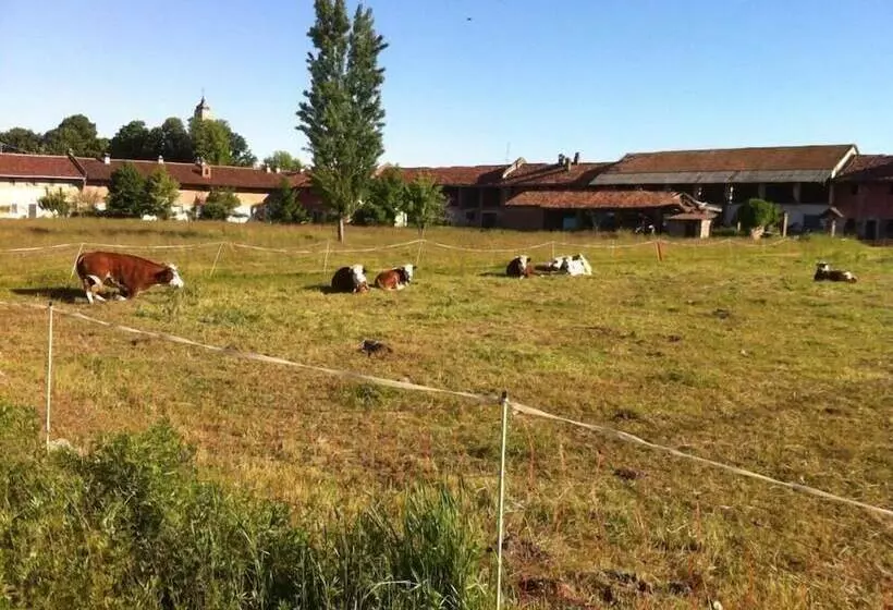 Majatalo Il Passatempo Di Enrica