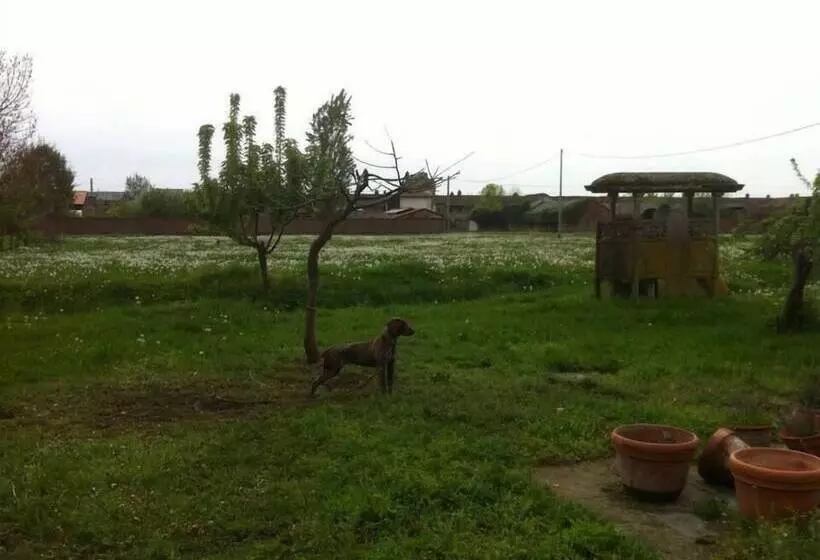 Majatalo Il Passatempo Di Enrica