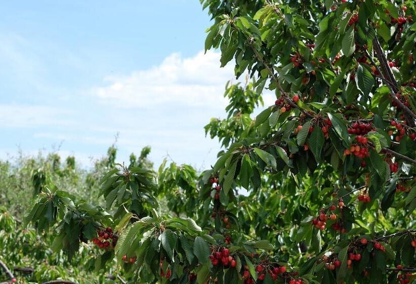 Пансион Villa Aurelia