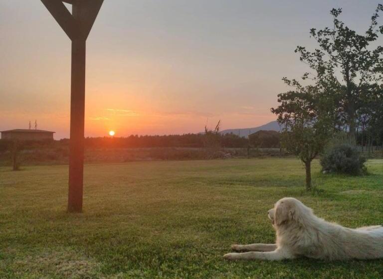 مبيت وإفطار Fattoria Il Laghetto