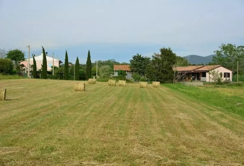 Maaseutuhotelli Agriturismo Ferri Di Ferri Donatella