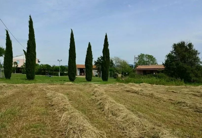 Maaseutuhotelli Agriturismo Ferri Di Ferri Donatella