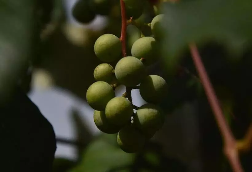 La Rocca Mia House B&b