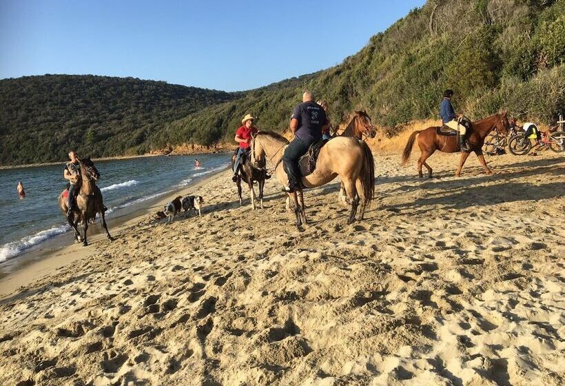 بنسيون Acquamarina B&b