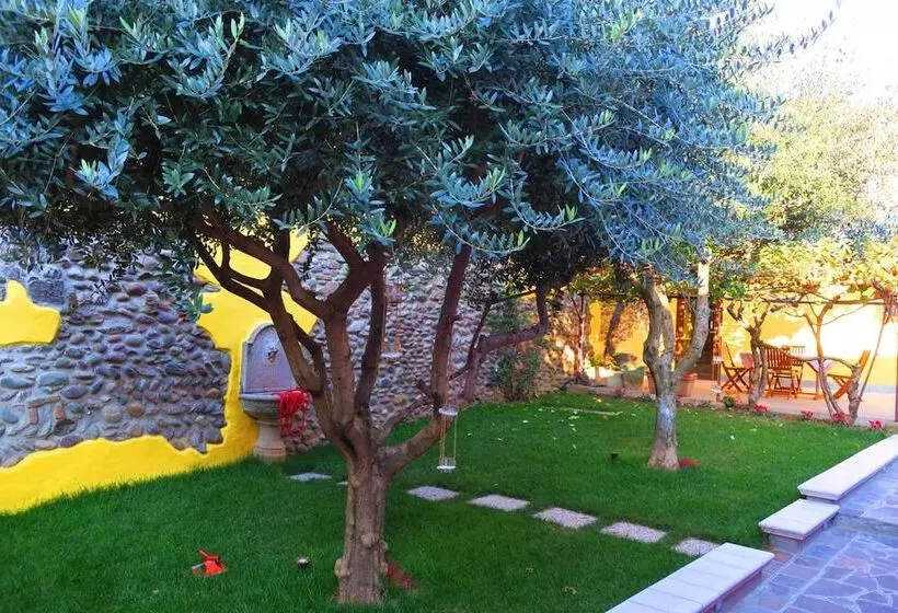 Aamiaismajoitus (B&B) Came