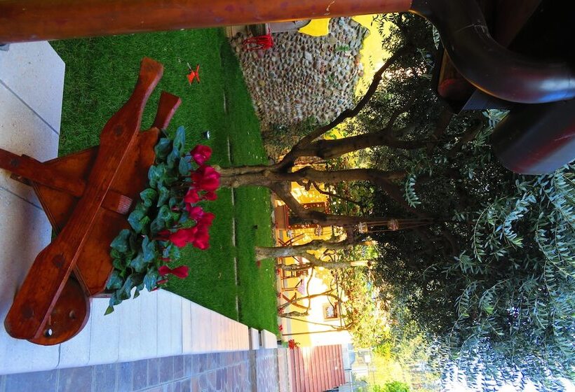 مبيت وإفطار Came