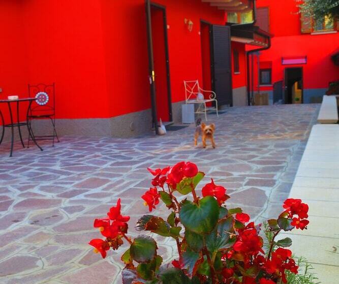 مبيت وإفطار Came