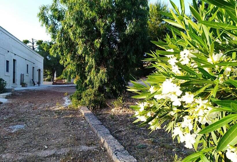 تختخواب و صبحانه Valle Degli Ulivi