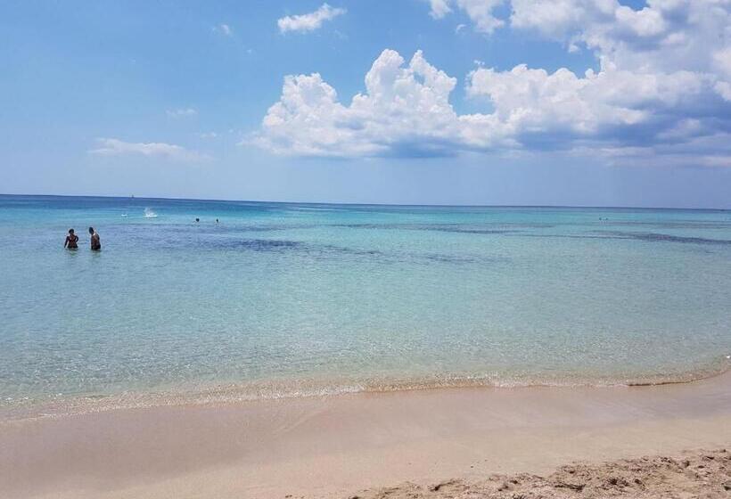 تختخواب و صبحانه Valle Degli Ulivi