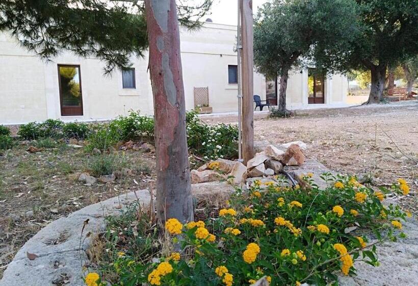 تختخواب و صبحانه Valle Degli Ulivi