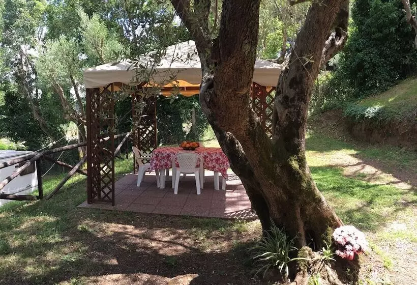 ホテル Camping Azzurro