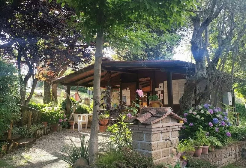 ホテル Camping Azzurro