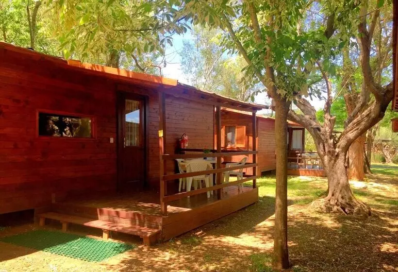 ホテル Camping Azzurro