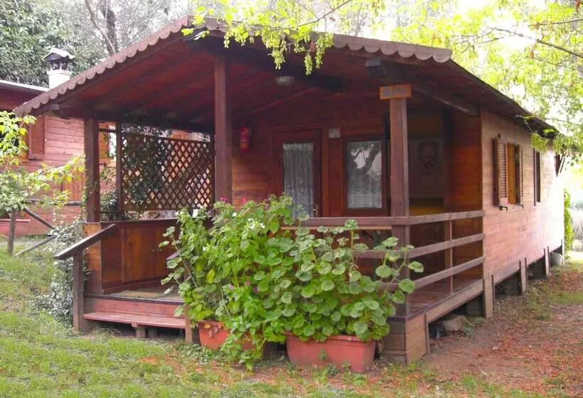 ホテル Camping Azzurro