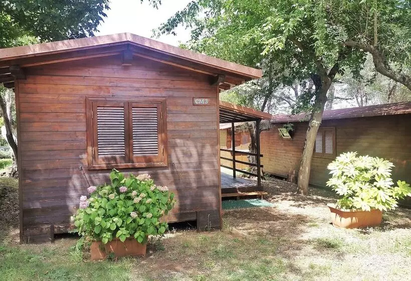 ホテル Camping Azzurro