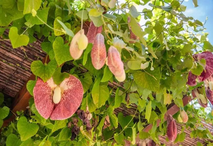 Maaseutuhotelli Cuaddus E Tellas