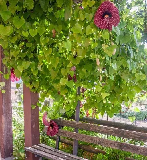 Maaseutuhotelli Cuaddus E Tellas