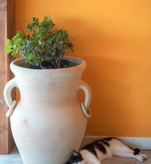 Maaseutuhotelli Cuaddus E Tellas