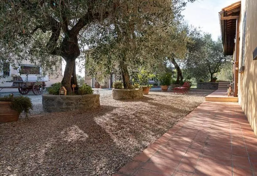 Maaseutuhotelli Il Pintello   Lo Scricciolo