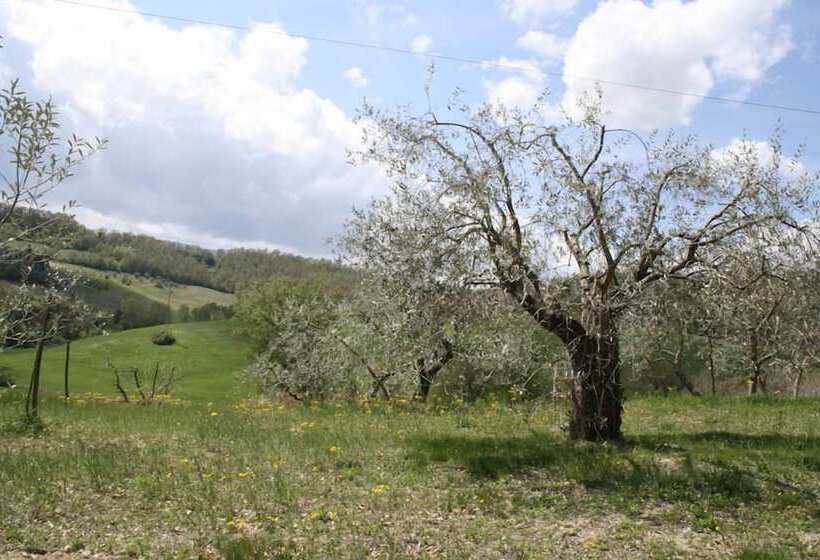 교외 호텔 Podere Della Bruciata B&b