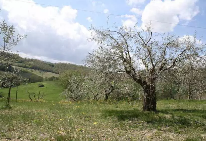 田舎風ホテル Podere Della Bruciata B&b