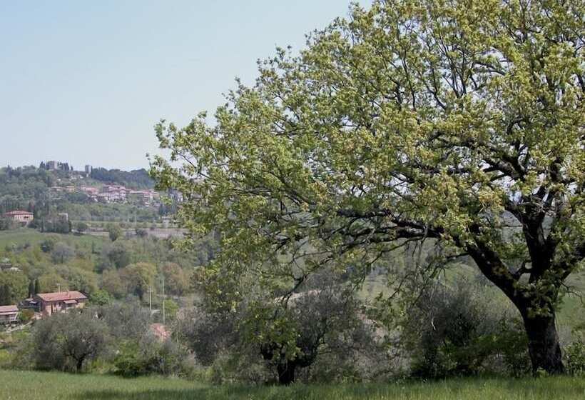 교외 호텔 Podere Della Bruciata B&b