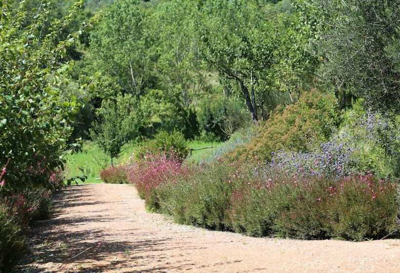 교외 호텔 Podere Della Bruciata B&b