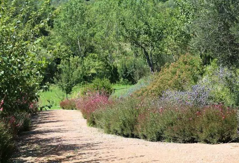 田舎風ホテル Podere Della Bruciata B&b