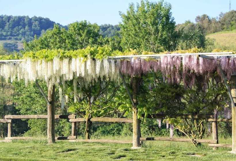 교외 호텔 Podere Della Bruciata B&b