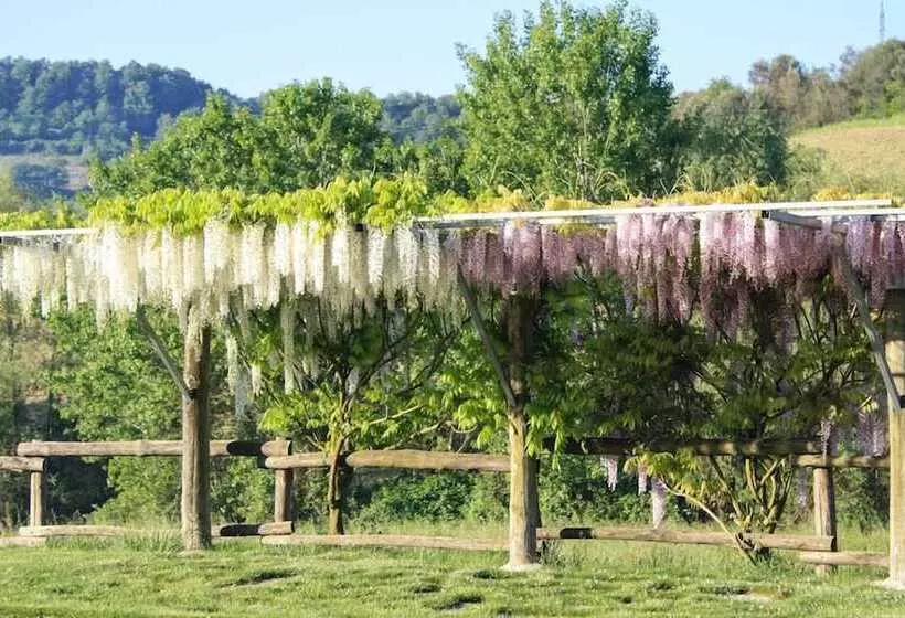 田舎風ホテル Podere Della Bruciata B&b