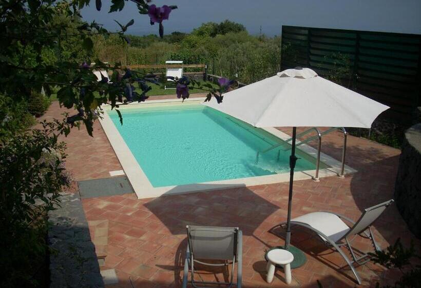 La Corte Di Bafè B&b Slow Life