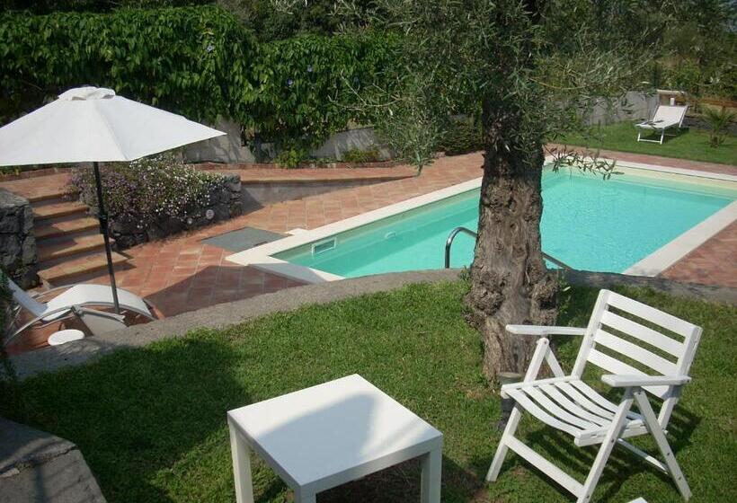 La Corte Di Bafè B&b Slow Life