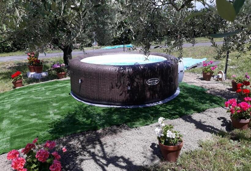 פנסיון L Orto Sul Poggio