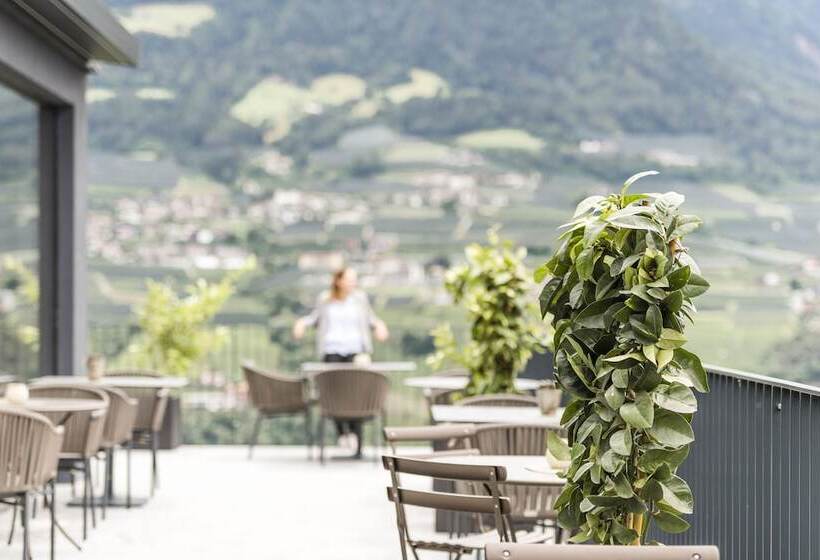 Vinea   Suites & Apartments