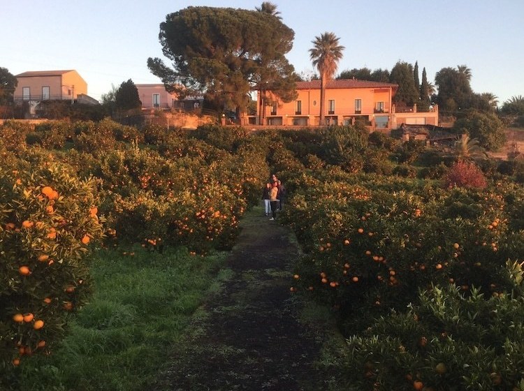 Bed and Breakfast Agrumè Country House