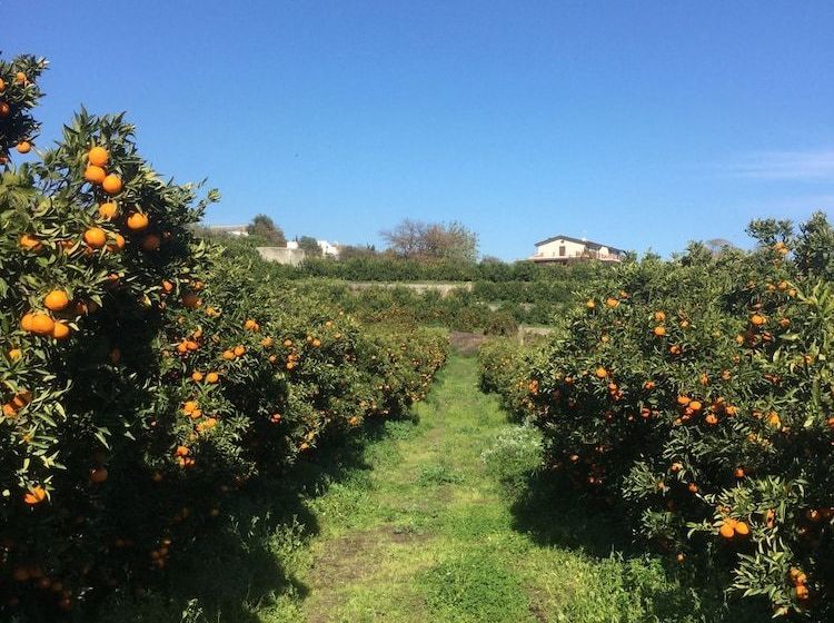 Bed and Breakfast Agrumè Country House