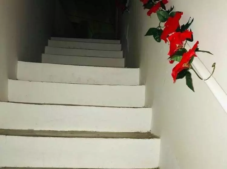 Aamiaismajoitus (B&B) Le Stanze Di Mavì