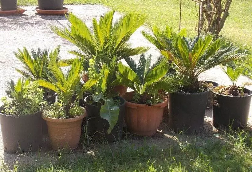 Hostelli Villa Dei Butteri   Aprilia