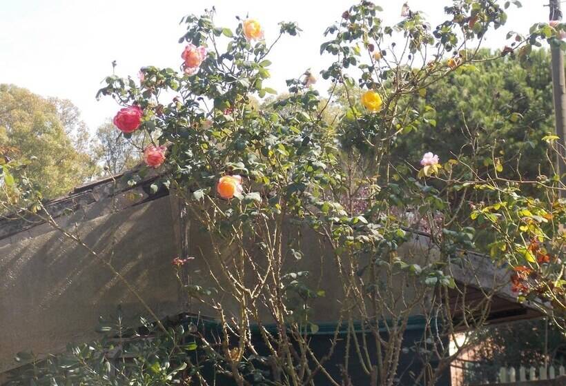 فندق فئة نجمة واحدة Villa Dei Butteri   Aprilia