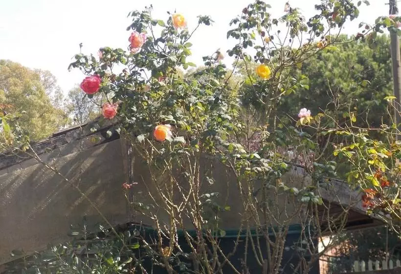 Hostelli Villa Dei Butteri   Aprilia