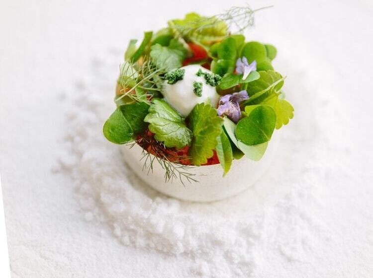 酒店 Terra   The Magic Place