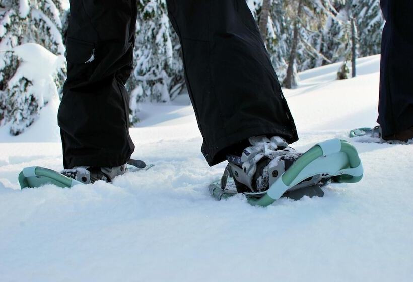 酒店 Terra   The Magic Place