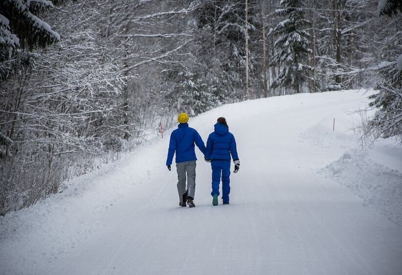 酒店 Terra   The Magic Place