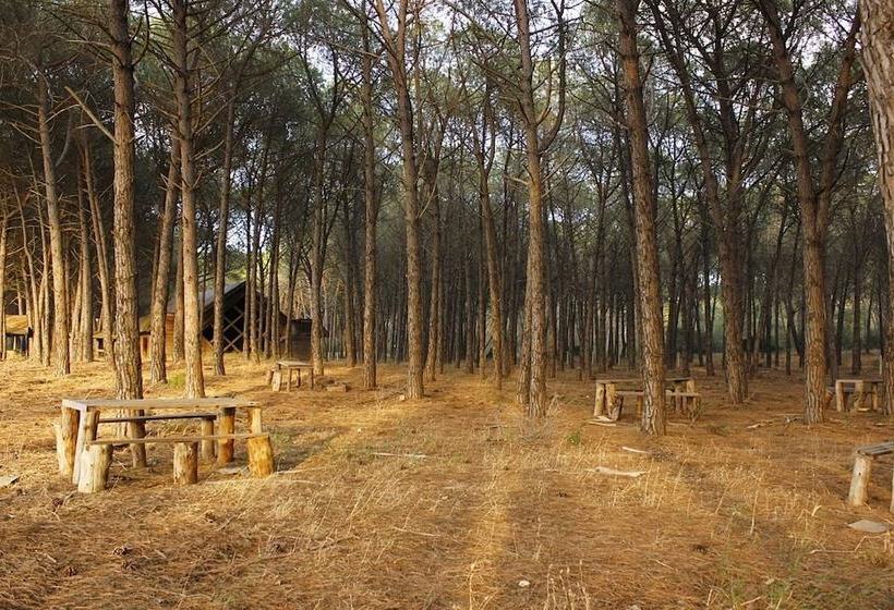 فندق Falanto Camping Village