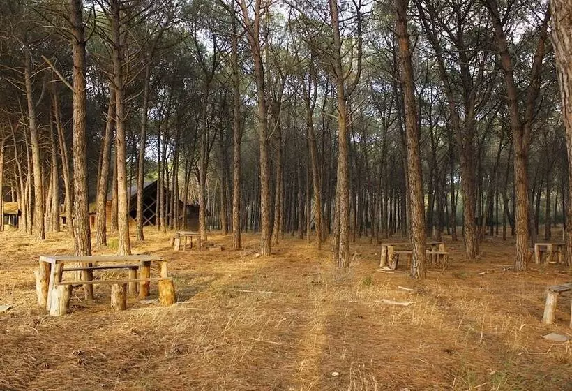 Hotelli Falanto Camping Village