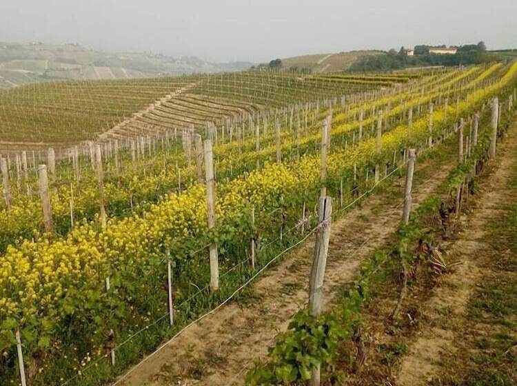 호텔 Agriturismo Il Ciliegio