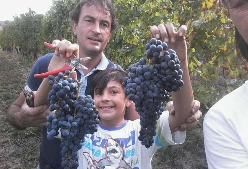 호텔 Agriturismo Il Ciliegio