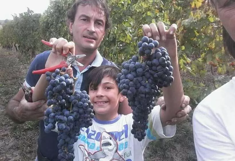 ホテル Agriturismo Il Ciliegio